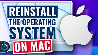 How To Reinstall macOS On ANY Mac [upl. by Elyrpa519]