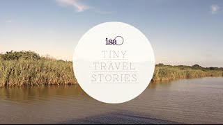 Tiny Travel Story South Africa [upl. by Uta]