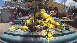 Mauritius Travel 🌊 Thaipoosam Cavadee 2018 Triolet Mauritius [upl. by Dyrrej]