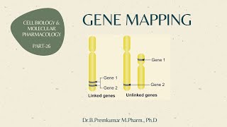 Gene mapping  CBMP26 [upl. by Kare]