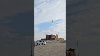 Patang bazi kite flying in safe area  Basant international [upl. by Anehc]