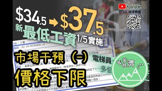 DSE 經濟 ECON 價格下限 市場干預 以最低工資為例 [upl. by Tamberg]