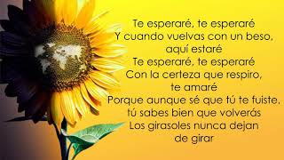 Luis Fonsi  Girasoles Letra [upl. by Bekki]