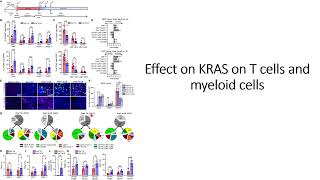 Effect KRAS mutation on the Tcells and myeloid cells Code 723 [upl. by Concettina]