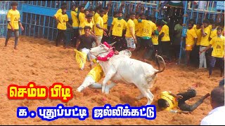 செம்ம பிடி kputhupatti jallikattu 2024 [upl. by Ainattirb702]