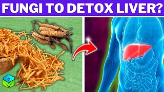 You Wont Believe The Benefits of These Little Fungi Cordyceps Mushroom [upl. by Mehsah]