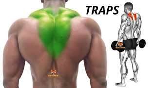 TRAPS WORKOUT 5 BEST TRAPS EXERCISES AT GYM [upl. by Paulita677]