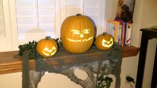 Dead Mans Party Animated Pumpkins Example [upl. by Eisle837]