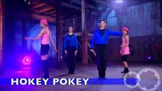 Hokey Pokey  children’s songs  kids dance songs by Minidisco [upl. by Naoma]