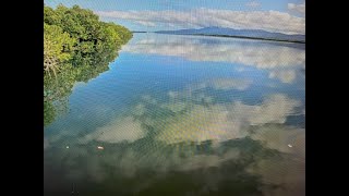 Hinchinbrook Island were Mother nature spent an extra day building Paradise [upl. by Kurth]