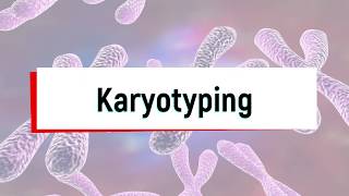 What is Karyotyping Test or Chromosomal Analysis [upl. by Brause]