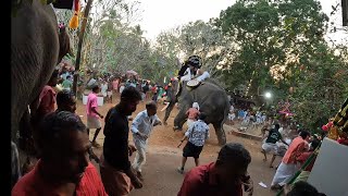 Elephant Attack while fest  routemastertoday [upl. by Hsilgne29]