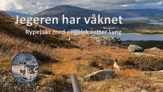 Rypejakt med stående fuglehund  Ptarmigan hunting in Norway [upl. by Porush903]