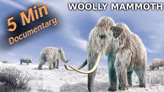 Woolly Mammoth  5 Minute Documentary [upl. by Enilraep]