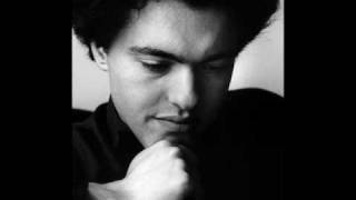 Liszt  Liebestraume No 3 Evgeny Kissin [upl. by Anieral]