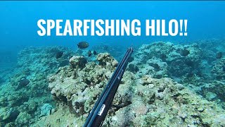 Spearfishing The East Facing Shores On The Big Island of Hawaii [upl. by Nema]