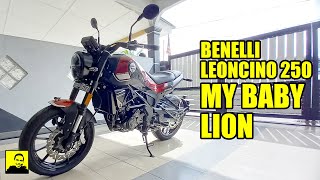 BENELLI LEONCINO 250 SE ABS 2023  MY BABY LION [upl. by Nadruoj391]