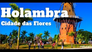 Holambra Cidade das Flores Passeio de 1 dia em Holambra  o que fazer onde comer e pousadas [upl. by Haley232]