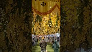 Happy Guru Nanak Jayanti 2024  Gurpurab Guru Nanak Dev ji 2024 Gurudwara Shri Bangla Sahib shorts [upl. by Godbeare264]