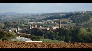 Una giornata con il Lambrusco Grasparossa di Castelvetro [upl. by Zipnick]