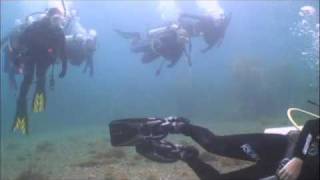 Bird Rock Dives  Catalina Island  Eco Dive Center  Island Time Boat [upl. by Leakcim]