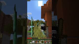 Minecraft pero Me CONVERTI en PandaMutante 6 minecraft [upl. by Audres]