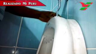 INSTALACION DE URINARIO MI PERÚ PARTE 3 [upl. by Arie]