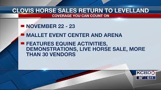 Clovis Horse Sales scheduled for this weekend in Levelland [upl. by Aicnelav]