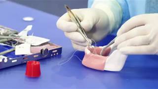 Placing OSSIX® Plus resorbable membrane Part 2  Suturing [upl. by Orteip670]