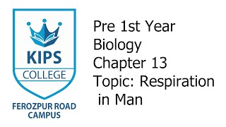 Respiration in Man  1st Year Biology  Chapter No 13 [upl. by Madden956]