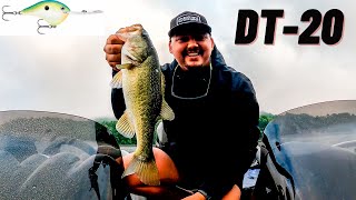 Deep Crank Bite Bear Lake Tuckasegee NC [upl. by Angid64]