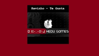 Kevinho  Te Gusta Remix DJ Hedu Gomes [upl. by Atreb]