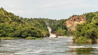 Murchison Falls Uganda [upl. by Adiam]