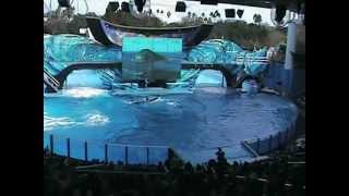 SeaWorld Orlando  One Ocean  Shamu Tilikum Moment 2 [upl. by Zetroc]