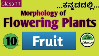 Class 11 ಕನ್ನಡದಲ್ಲಿ  Morphology of Flowering Plants  10  Fruit [upl. by Joub240]