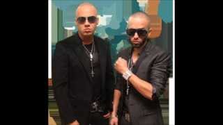 Wisin y Yandel Viejitas Mix [upl. by Saltzman]