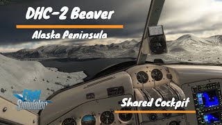 DHC2 Beaver sulla Penisola di Alaska Shared Cockpit  DiegoCcrisk73  ITA [upl. by Samale]