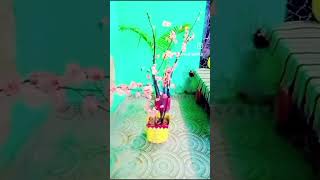 wax flower makingcraftdiyviralytshort [upl. by Inglebert897]