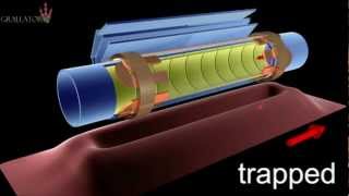 Risonanza magnetica per lantimateria [upl. by Krutz223]