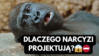 NARCYZ👉DLACZEGO NARCYZI PROJEKTUJĄ😱⛔️ [upl. by Evyn177]