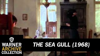 Preview Clip  The Sea Gull  Warner Archive [upl. by Aissatsan]