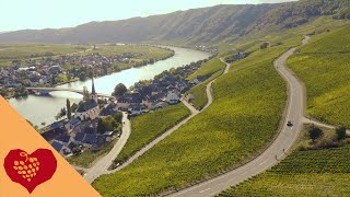 Piesport an der Mosel [upl. by Hilbert440]