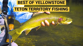 Best of Eastern Idaho Fishing Small Streams Rivers amp Lakes [upl. by Alleinnad]