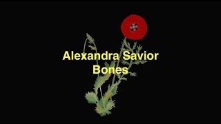 Alexandra Savior  Bones Lyric Video [upl. by Whalen433]