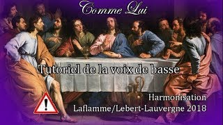 Comme Lui de Robert Lebel  Tutoriel basse [upl. by Myer415]