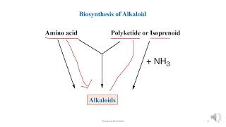 Biosynthesis of Nicotine [upl. by Nirag61]