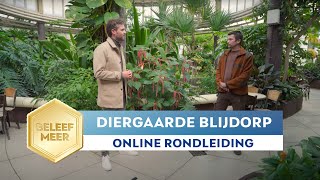 Online tour dierentuin Diergaarde Blijdorp [upl. by Ymirej]