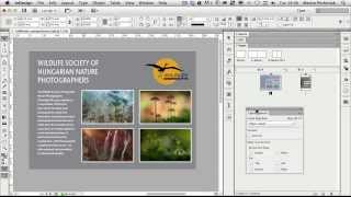 Working With Liquid Layouts in Adobe InDesign [upl. by Fanni]