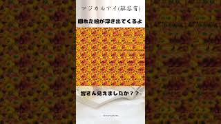 【ステレオグラム】☀マジカルアイ解答集☀みなさん合っていたでしょうか？？shortsステレオグラムstereograms視力回復3D立体視3Dvideoマジカルアイ [upl. by Afatsum]