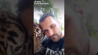 Mirko Rosa play with Tiger [upl. by Leima718]